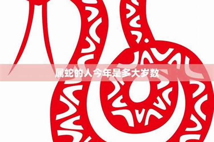 2023属蛇的今年多大年龄了呀