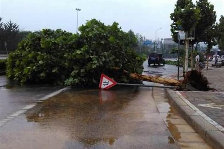 梦见房子被大风大雨吹倒了啥意思