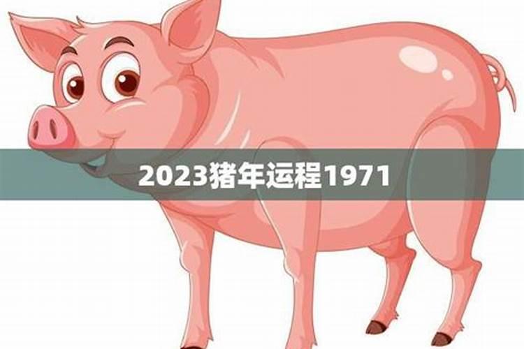 2023猪年运势