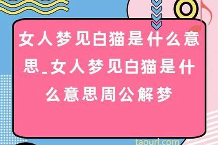 已婚女人梦见白猫是什么预兆解梦