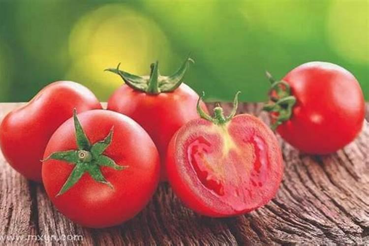 女人梦见种西红柿是什么预兆
