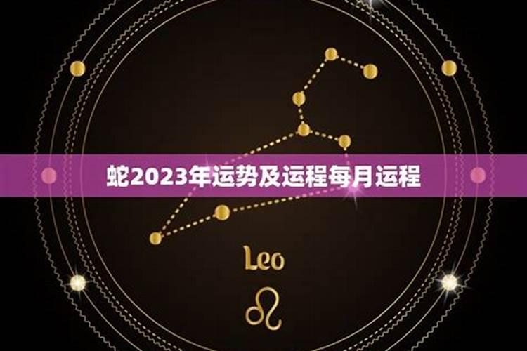 蛇2023年的运势如何