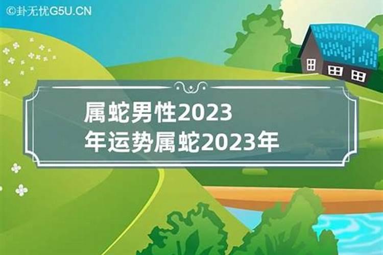 蛇运势2023运势详解