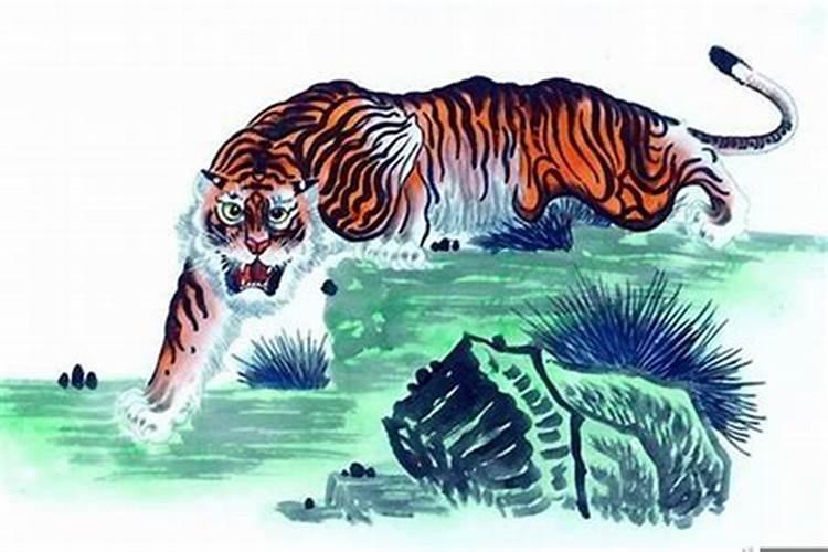 八六年的属虎的是什么命