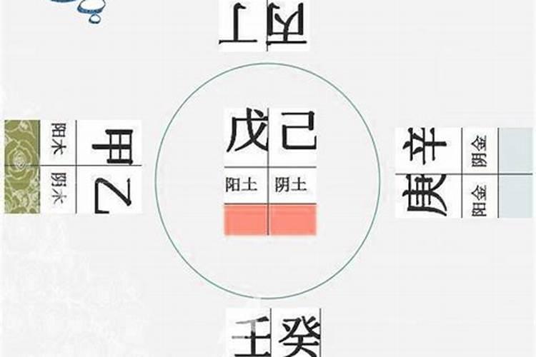 八字特殊格局有哪些特点