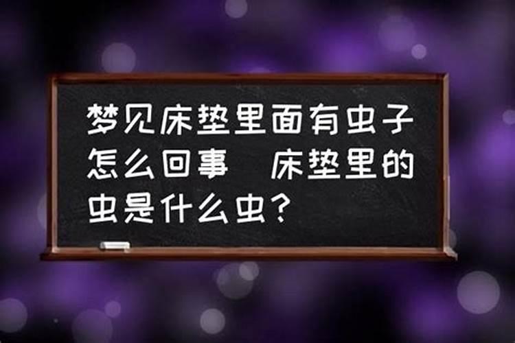 梦到了自己害怕的虫子