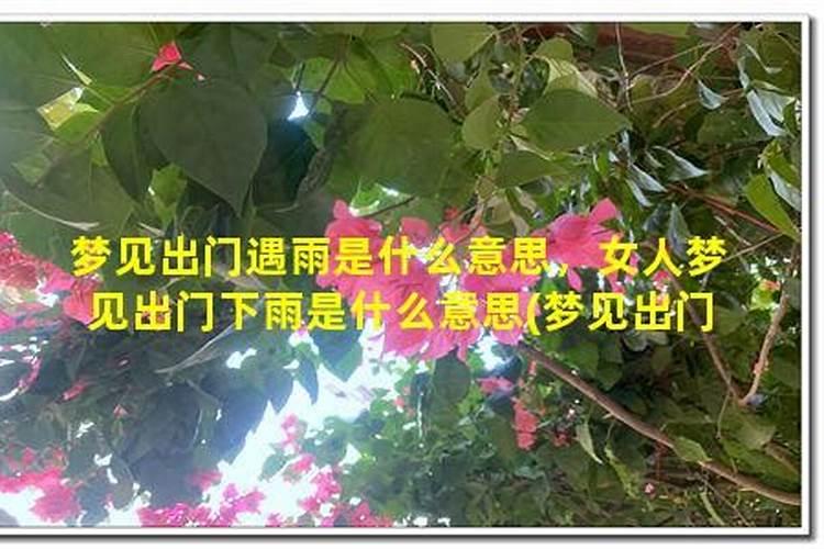 梦到下雨把房子压垮了什么意思啊解梦